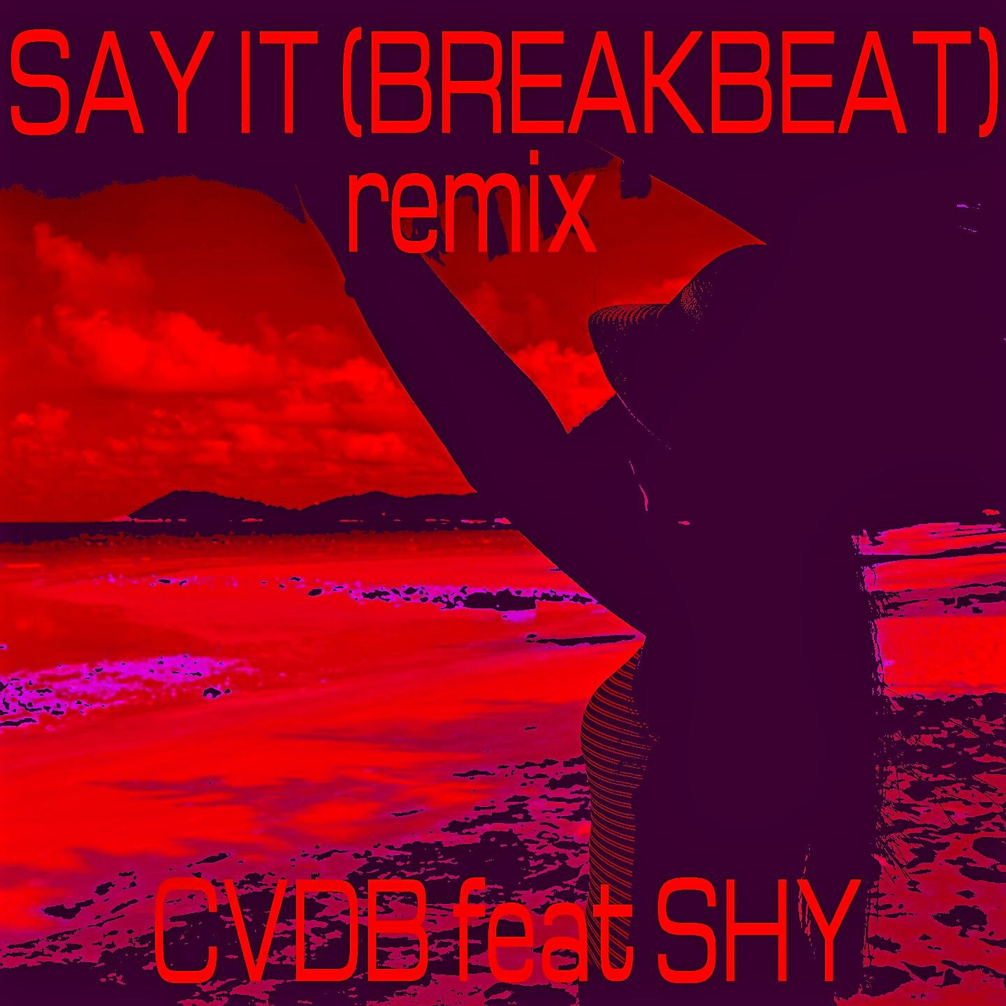 CVDB - Say It (Breakbeat)