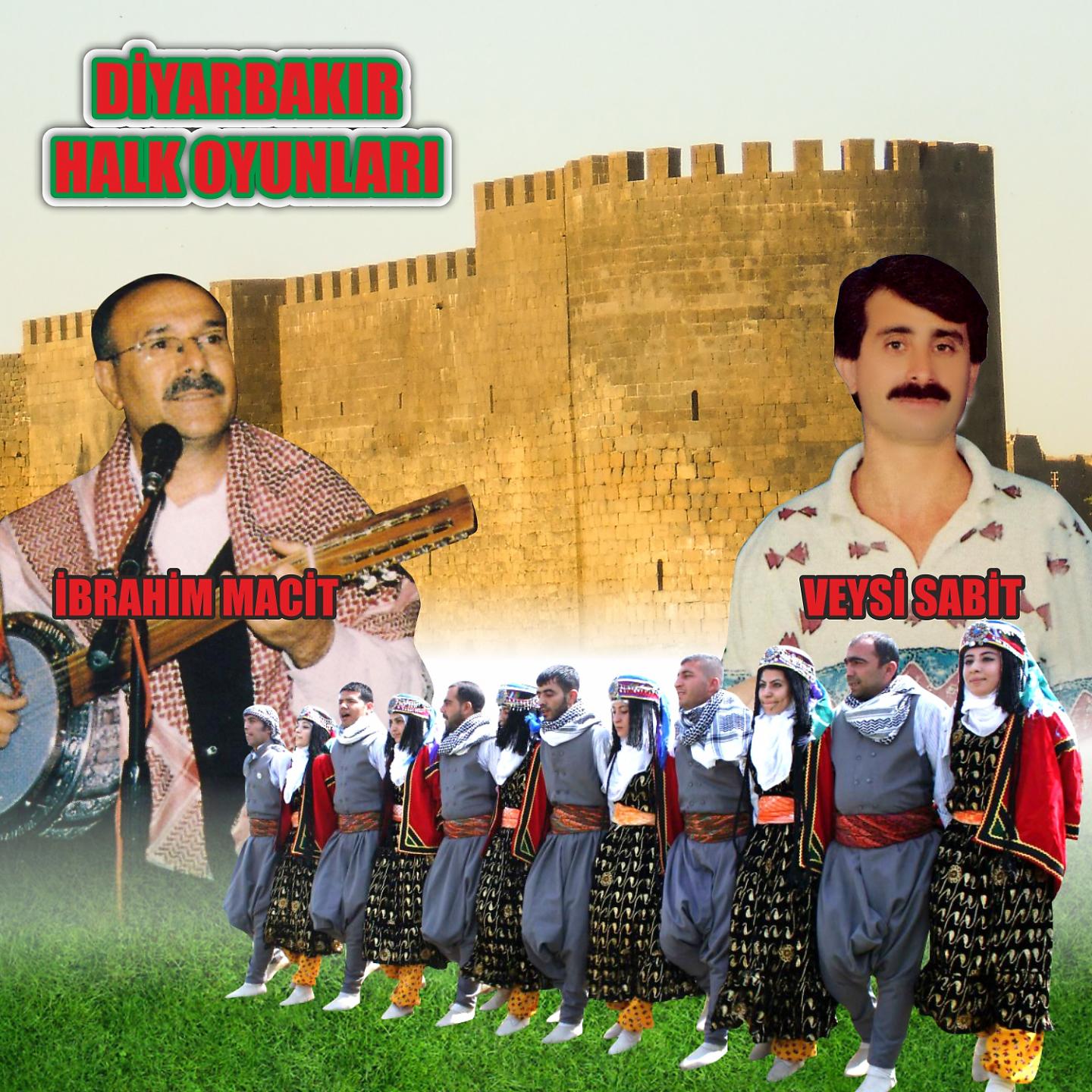 Постер альбома Diyarbakır Halk Oyunları