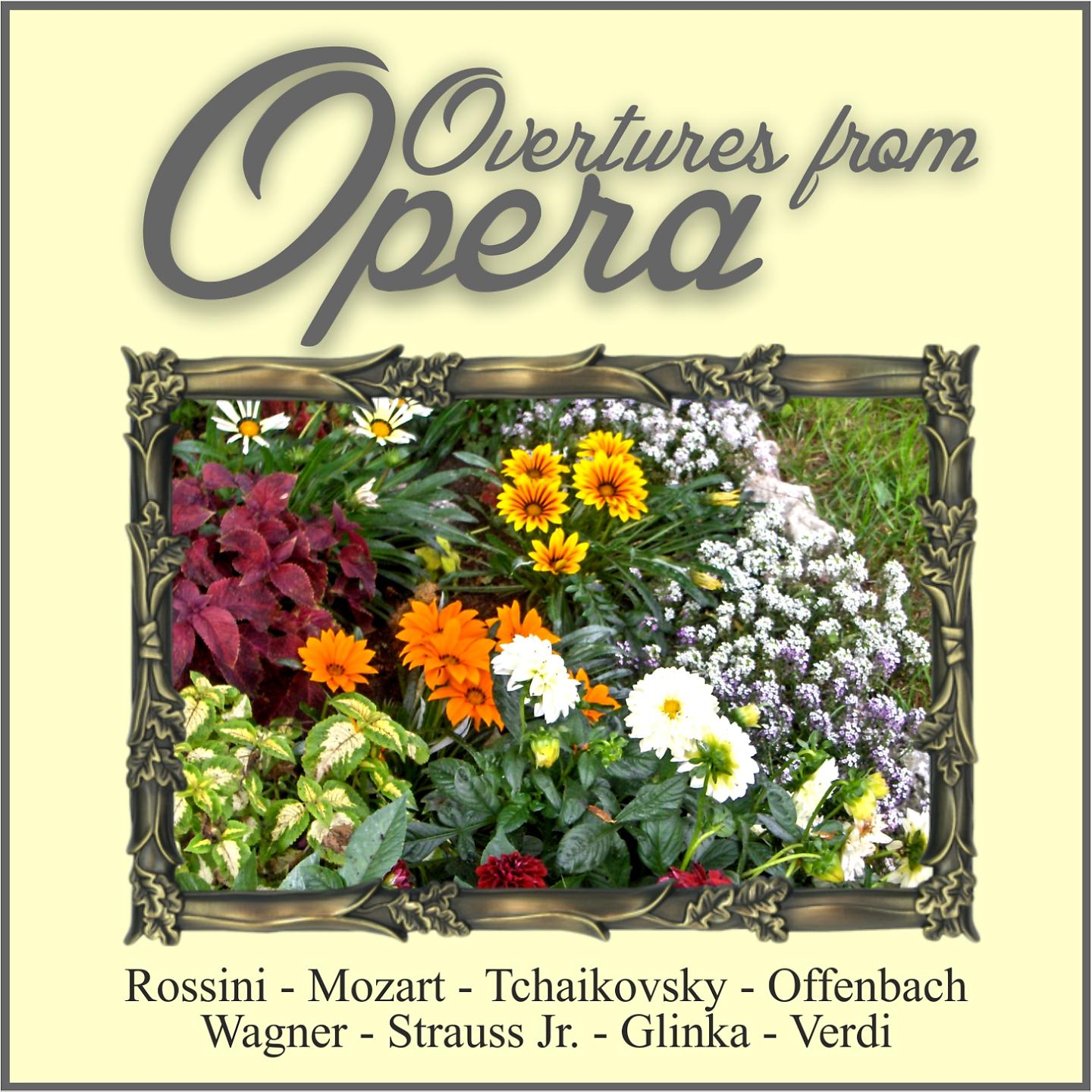 Постер альбома Overtures from Opera