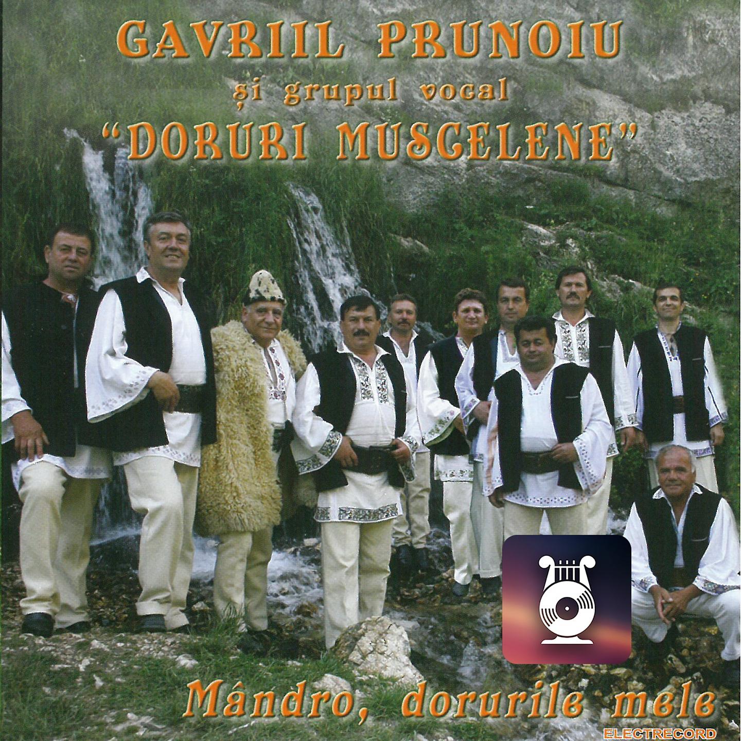 Постер альбома Mândro, Dorurile Mele