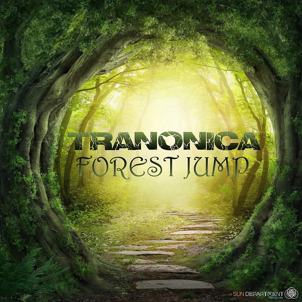 Постер альбома Forest Jump