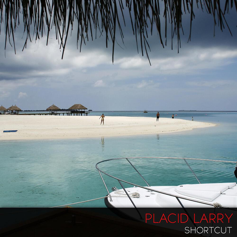 Placid Larry - At the Bottom of the Garden (Original Mix)