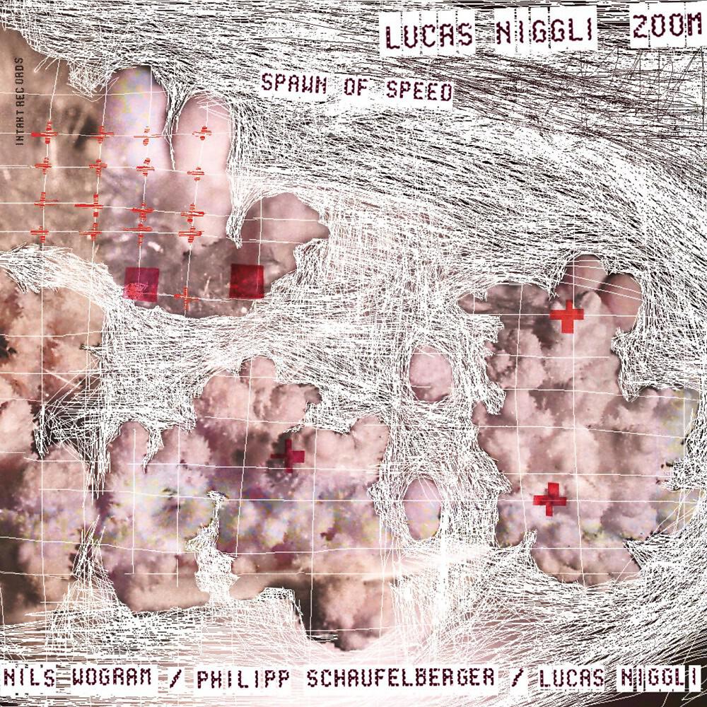 Lucas Niggli ZOOM - Evergreen