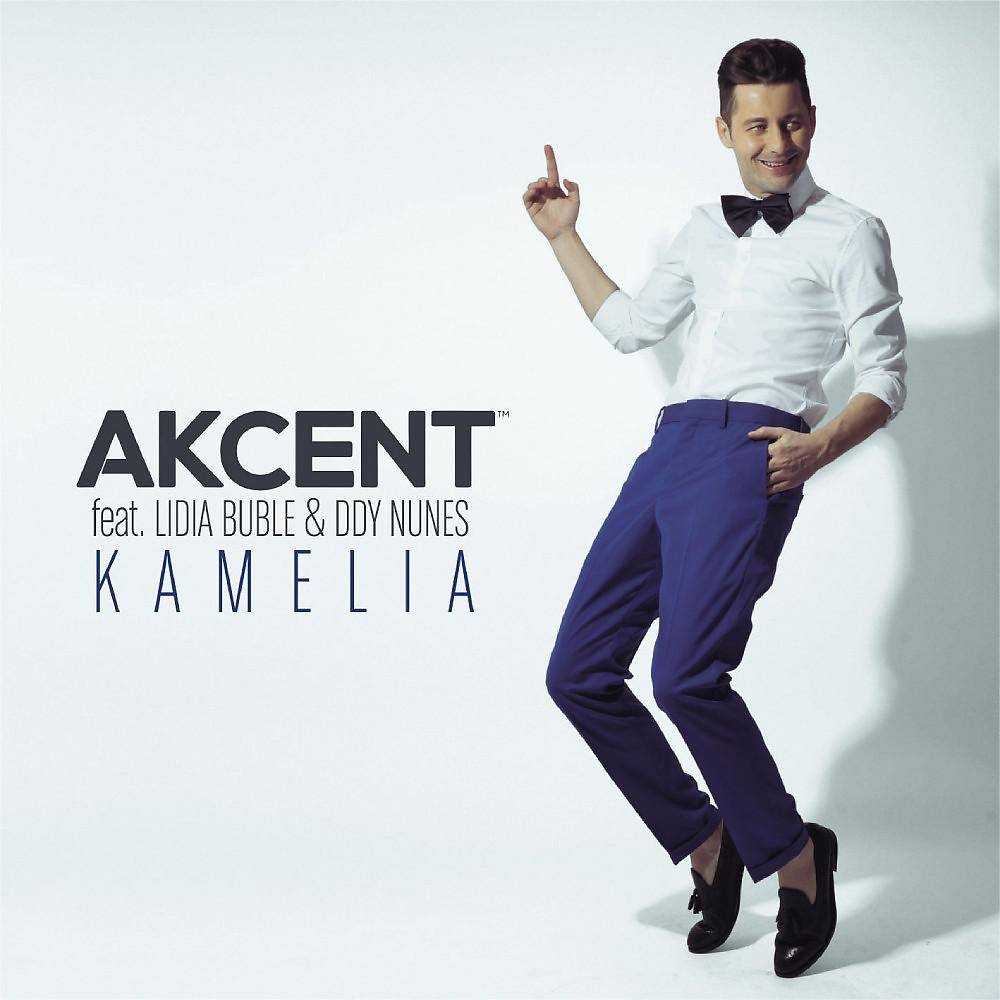 Постер альбома Kamelia (Remixes)