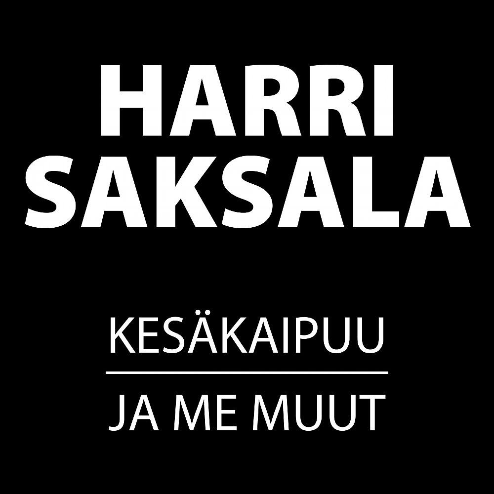 Постер альбома Kesäkaipuu