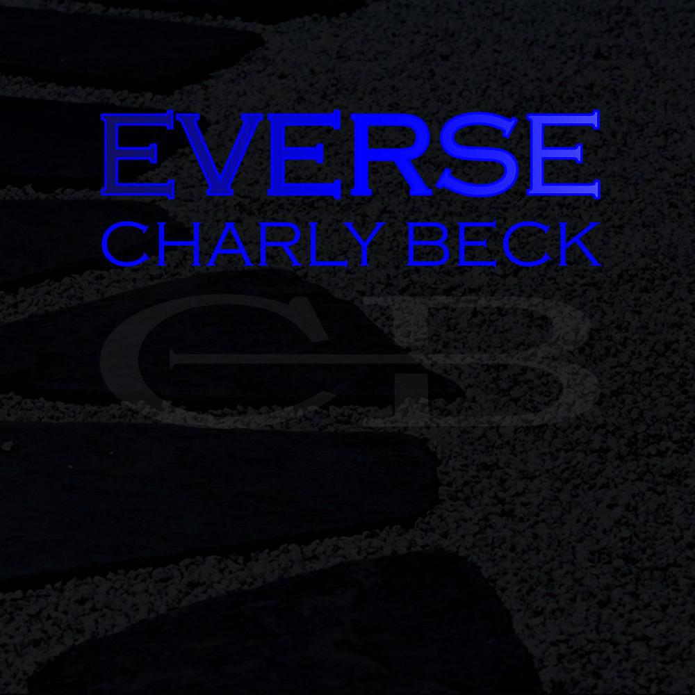 Постер альбома Everse