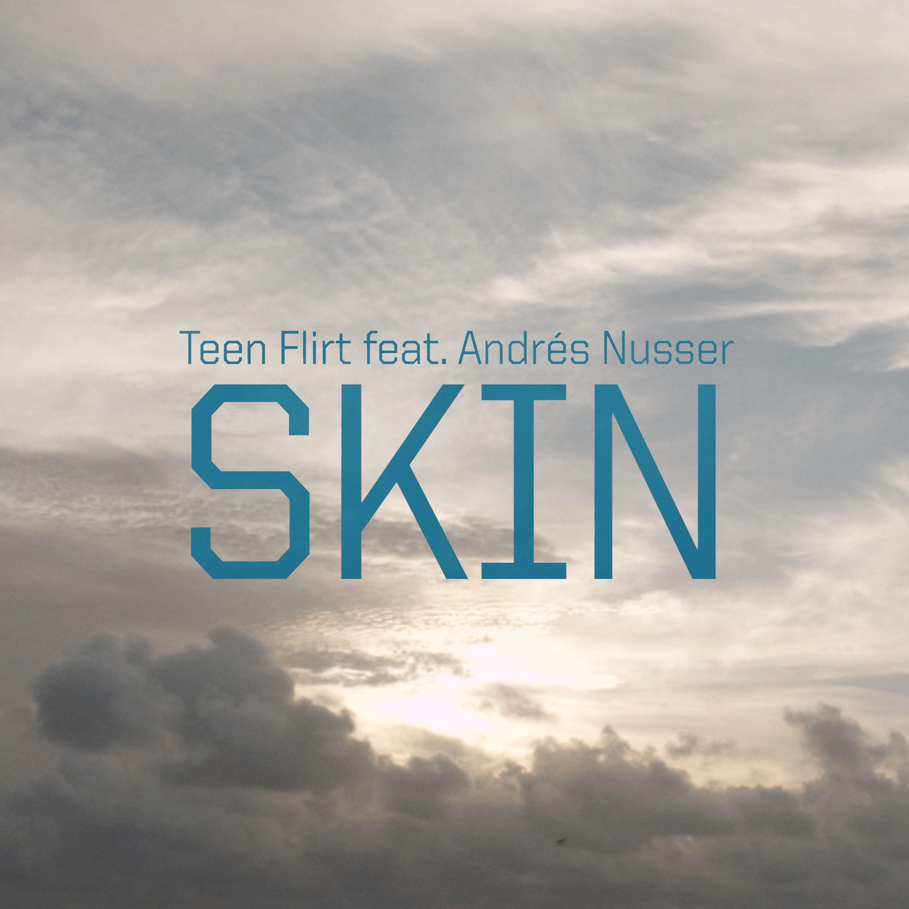 Постер альбома Skin (feat. Andrés Nusser)