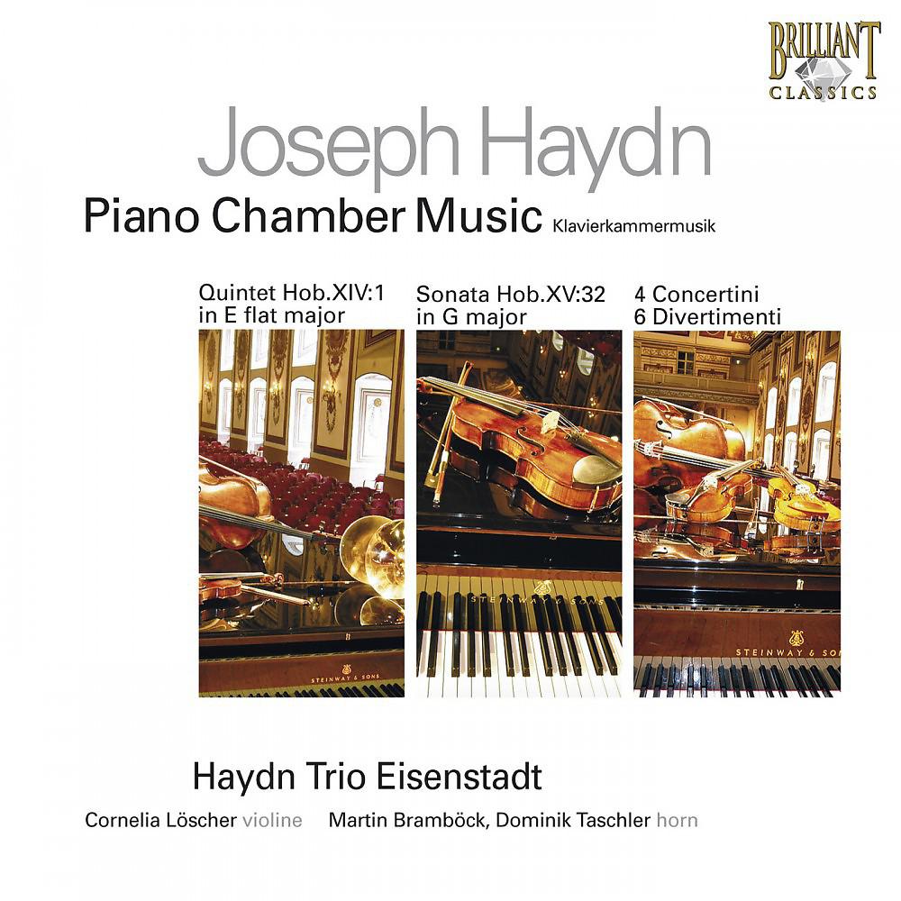 Постер альбома Haydn: Piano Chamber Music