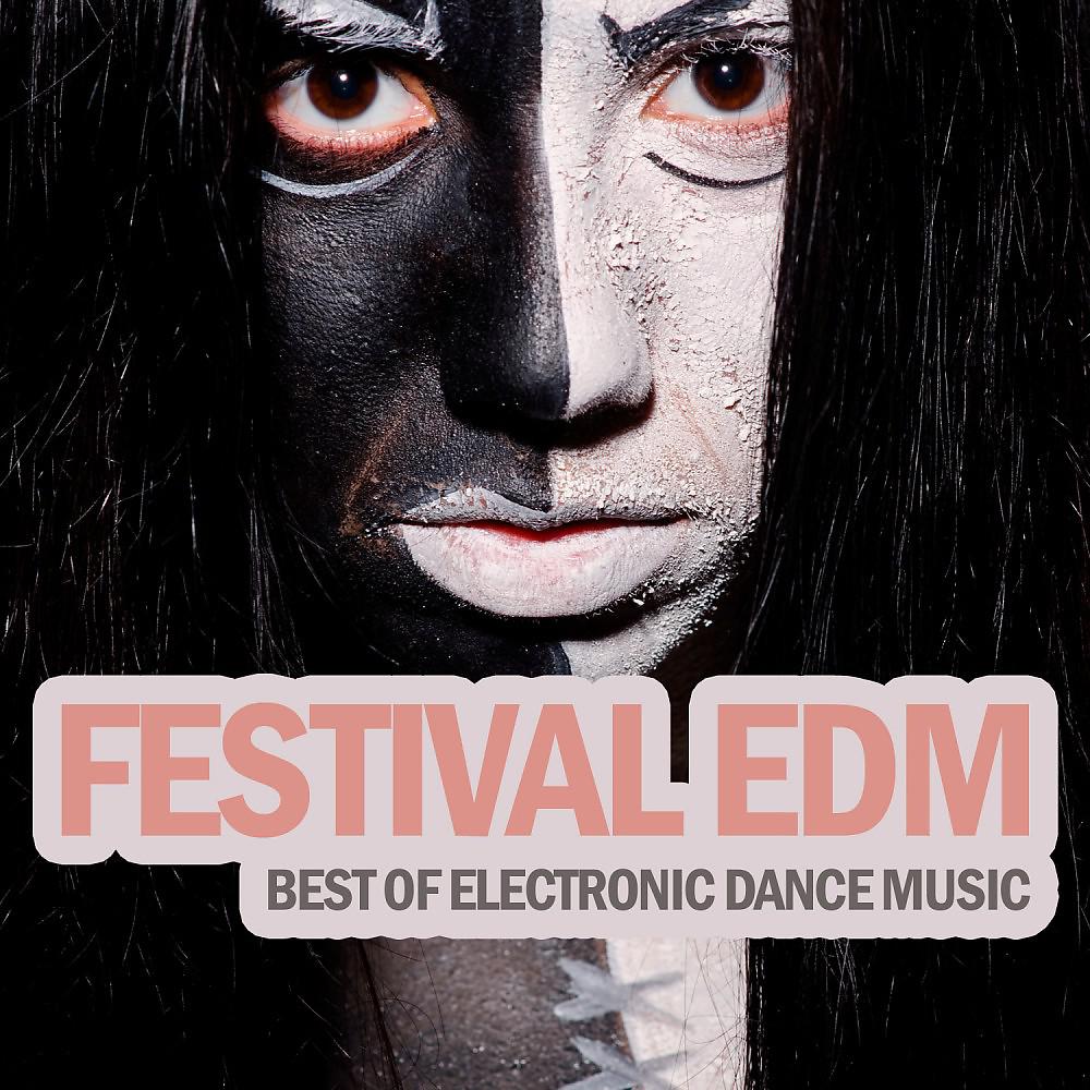 Постер альбома Festival EDM - Best of Electronic Dance Music