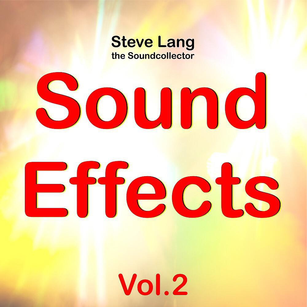 Steve Lang the Soundcollector - Goose Honking Long (Gänse Geschnatter Lang)