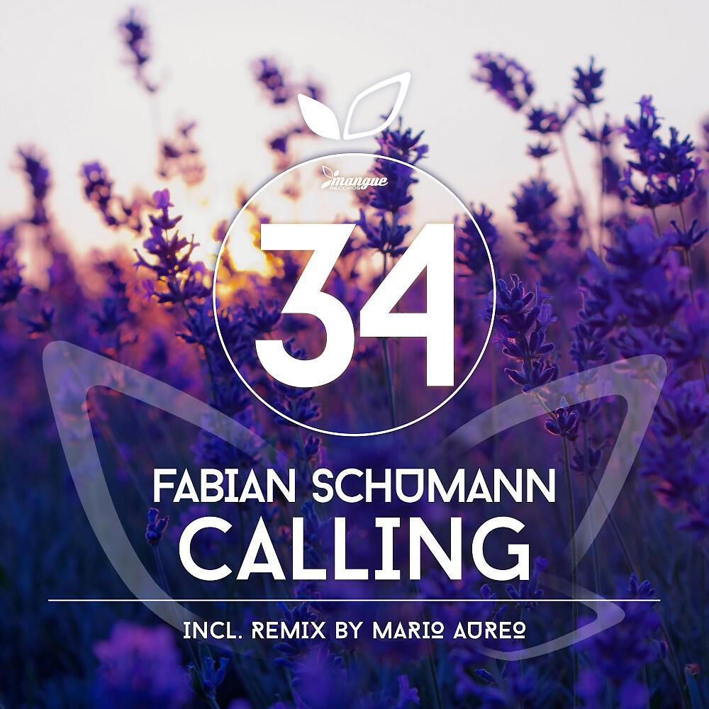 Fabian Schumann - Calling (Mario Aureo Remix)