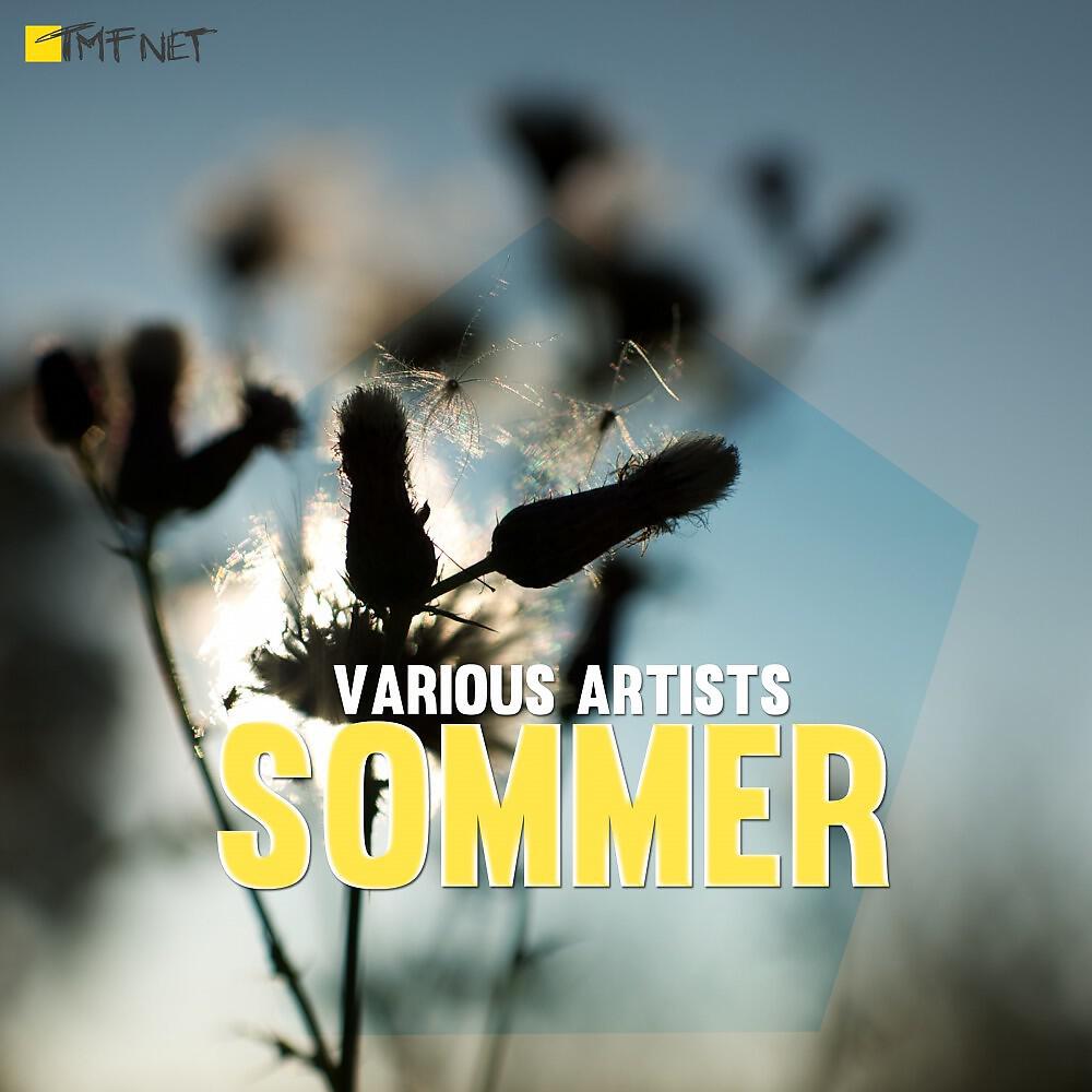 Mark Bender - Sommerschlag