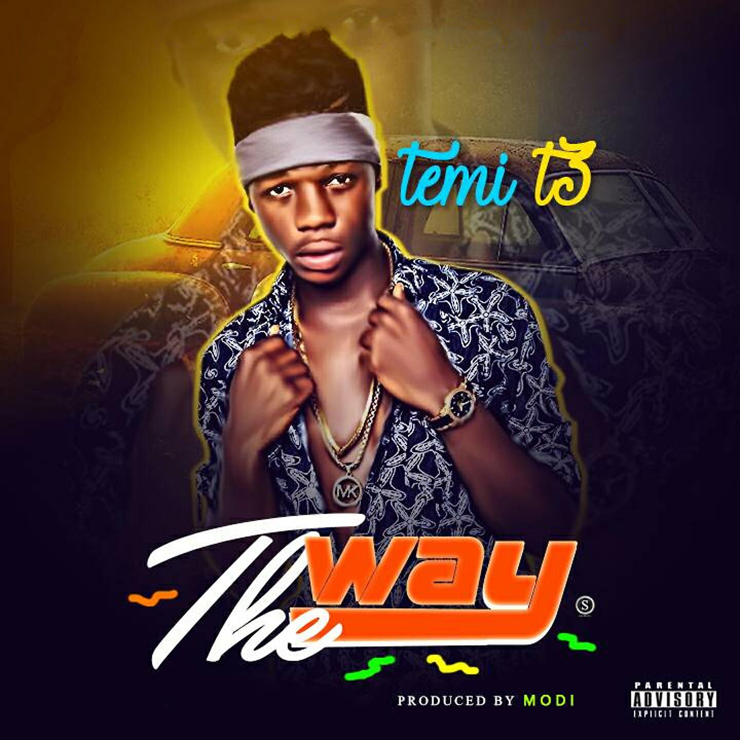Temi T3 - The Way