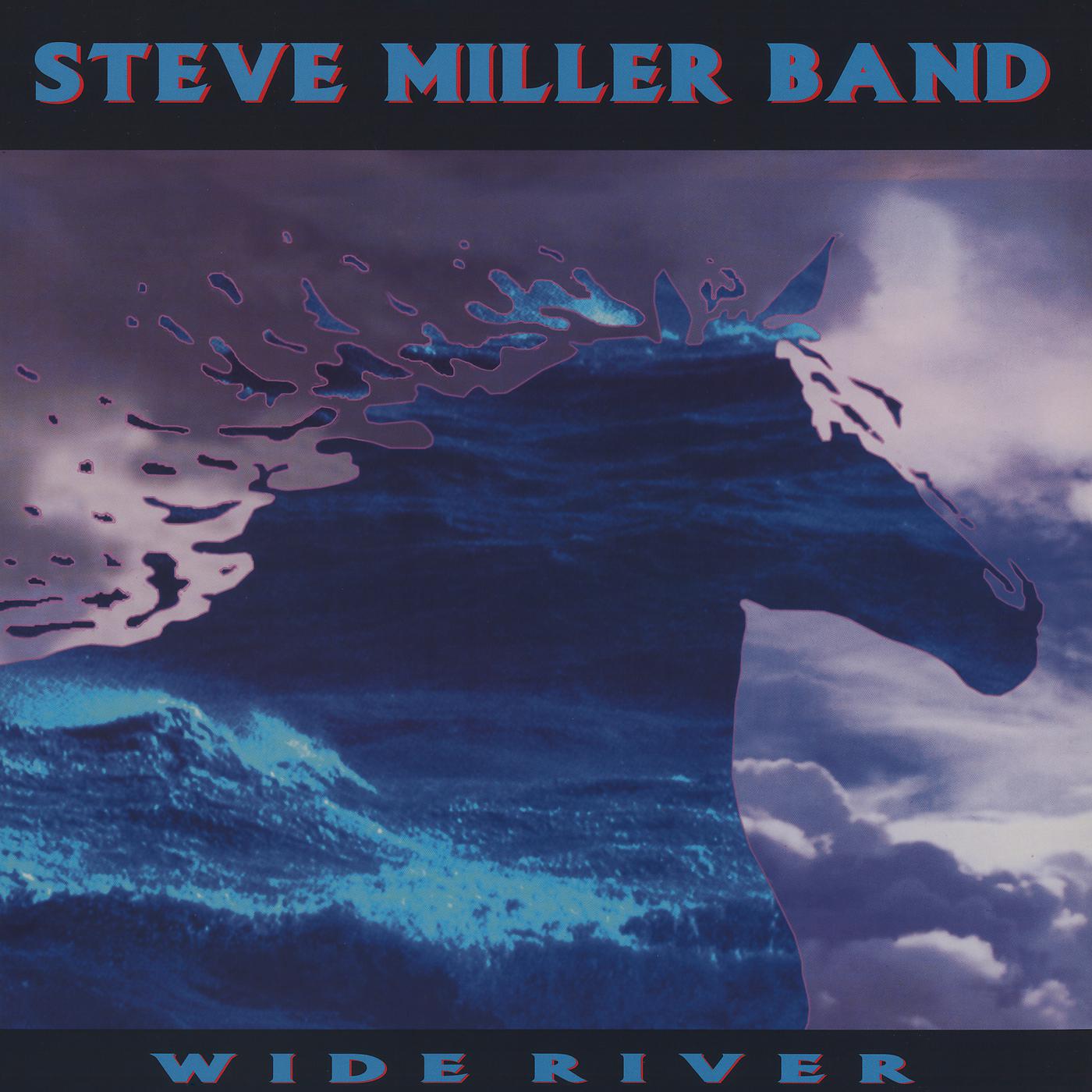 Постер альбома Wide River