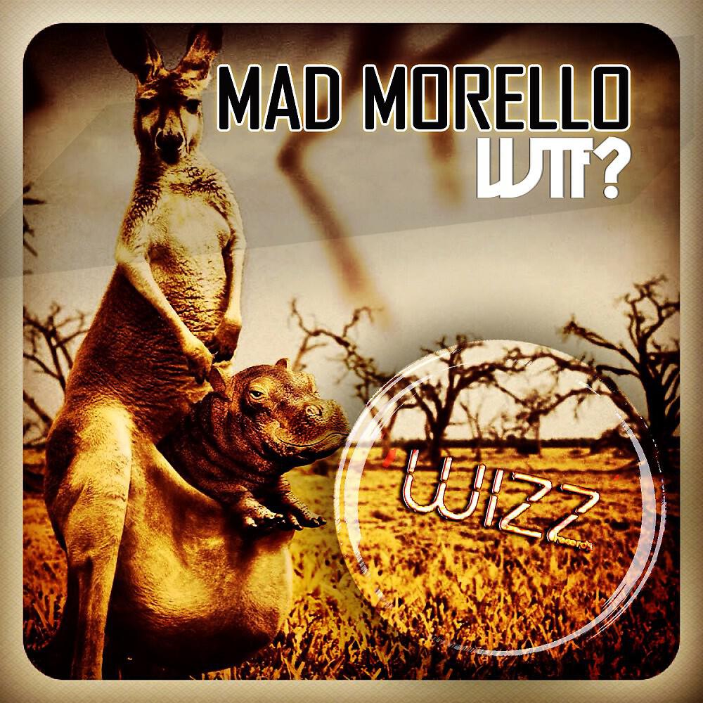 Mad Morello - Wtf