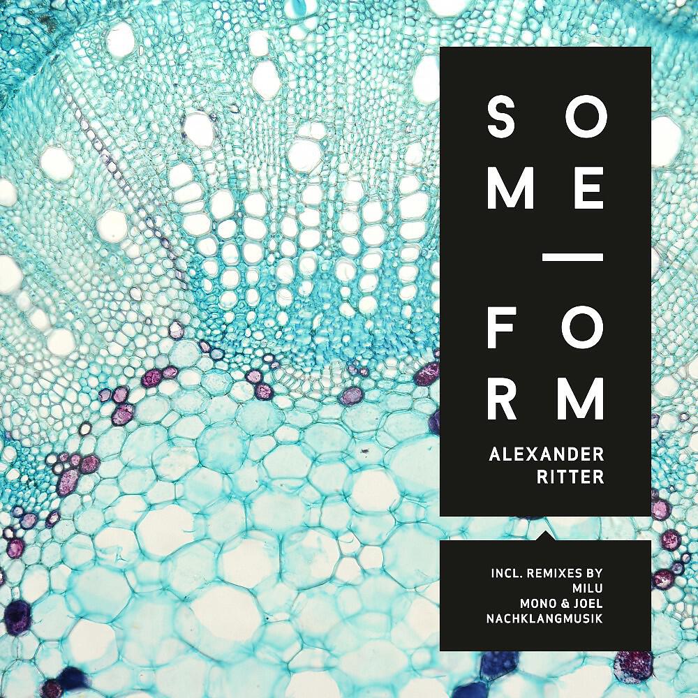 Alex Ritter - Some Form (Nachklangmusik Remix)