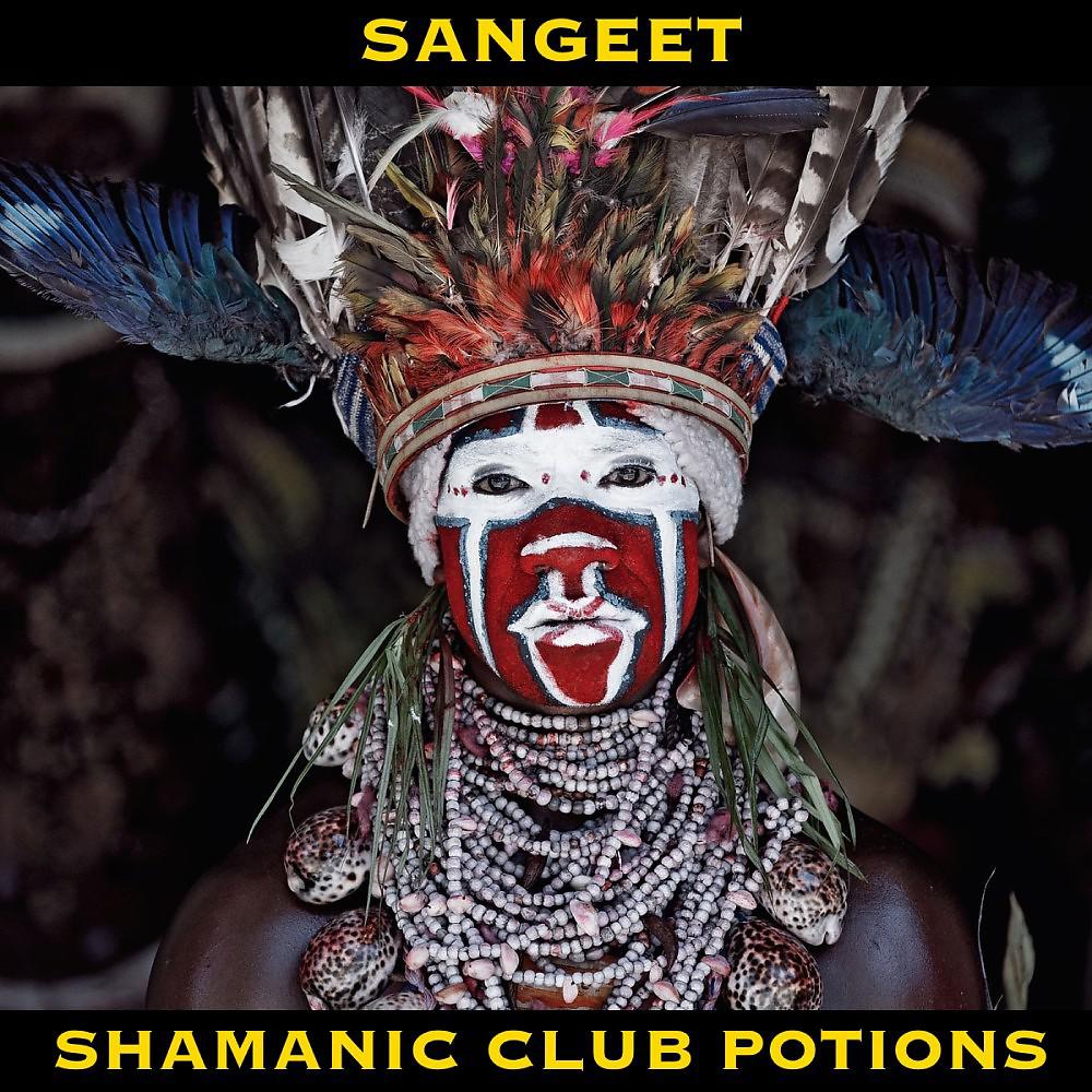 Постер альбома Shamanic Club Potions