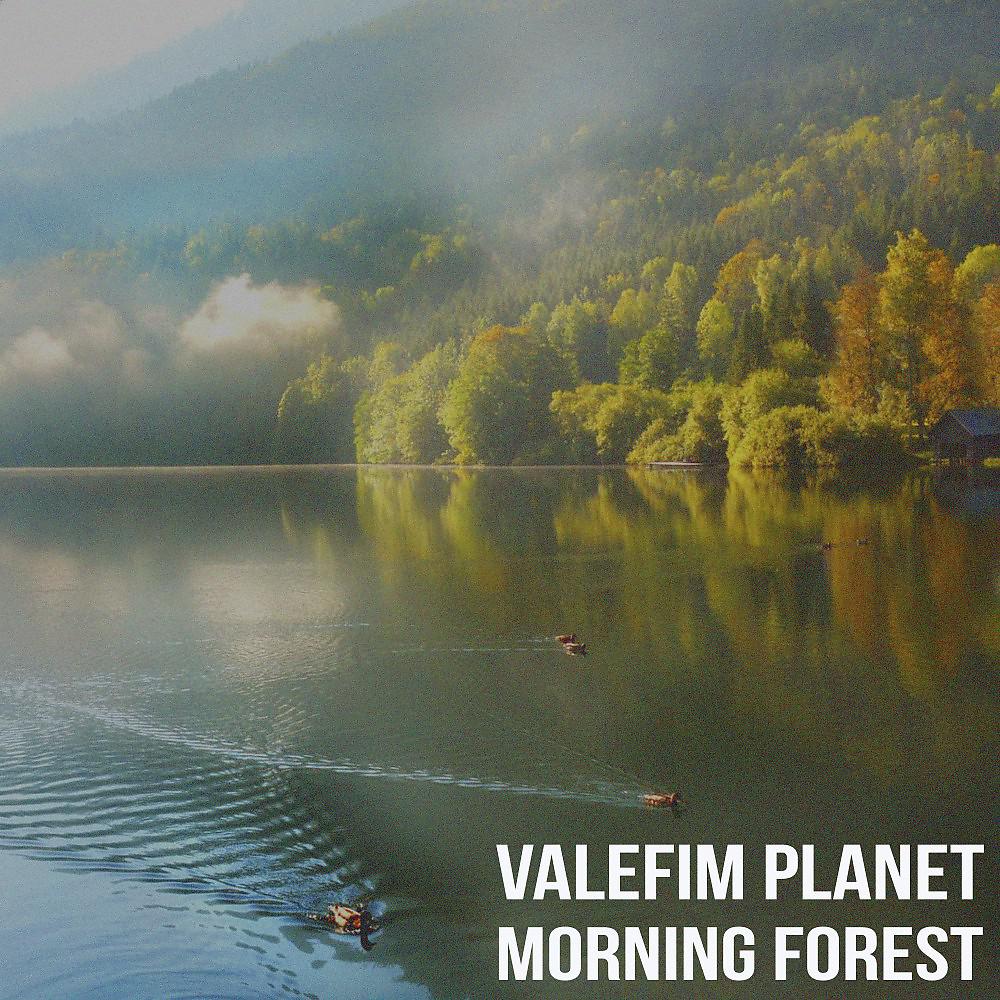 Постер альбома Morning Forest