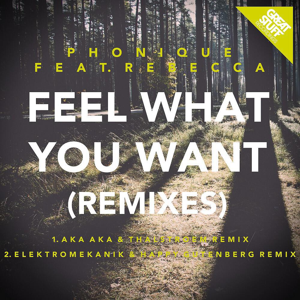 Phonique - Feel What You Want (AKA AKA & Thalstroem Remix)