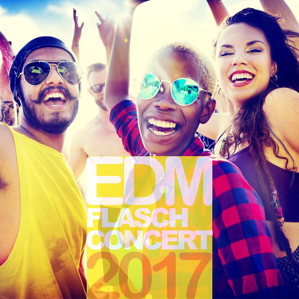 Постер альбома EDM Flasch Concert 2017