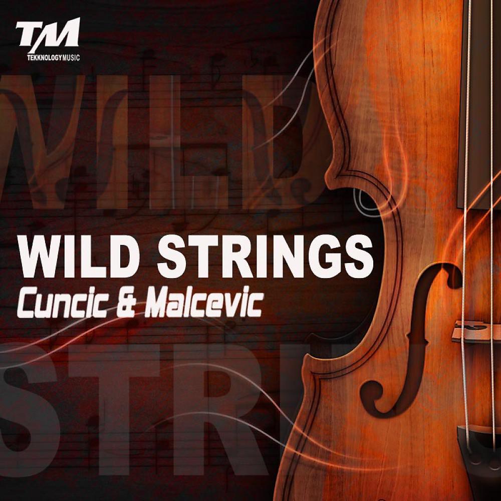 Постер альбома Wild Strings