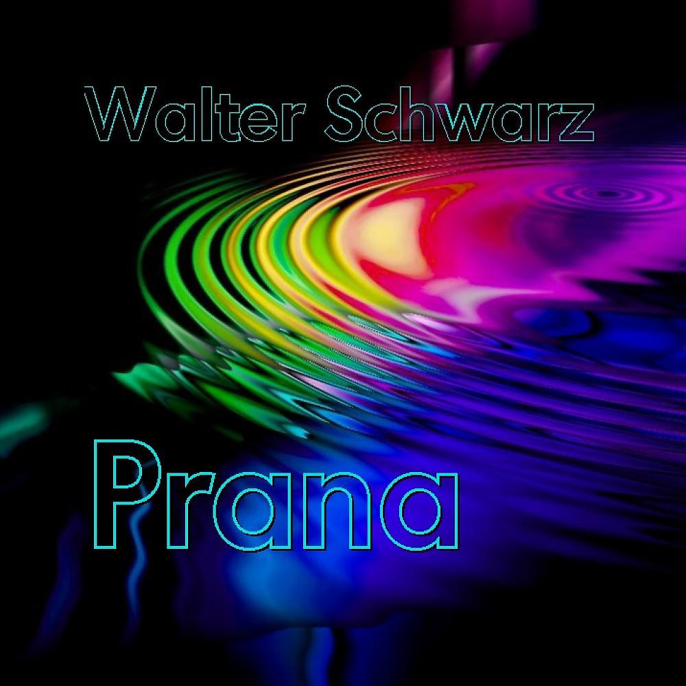 Постер альбома Prana