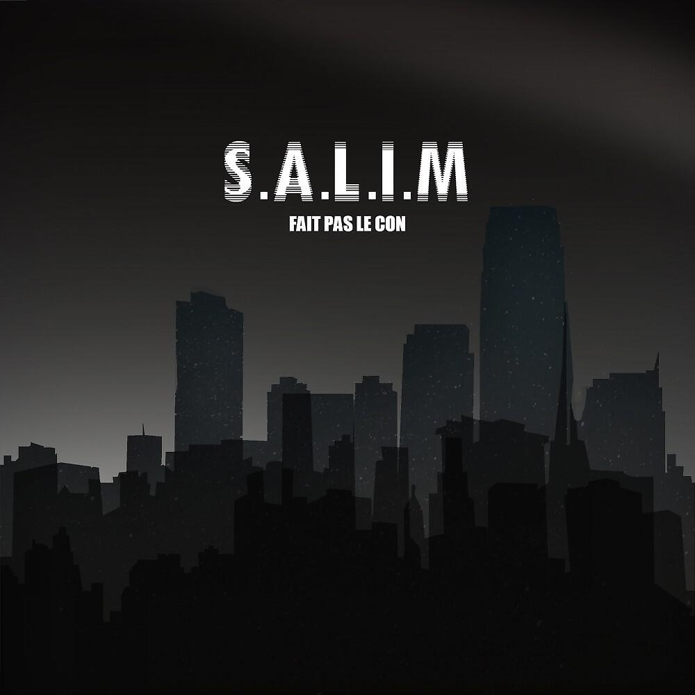 Salim - Une amitié en or