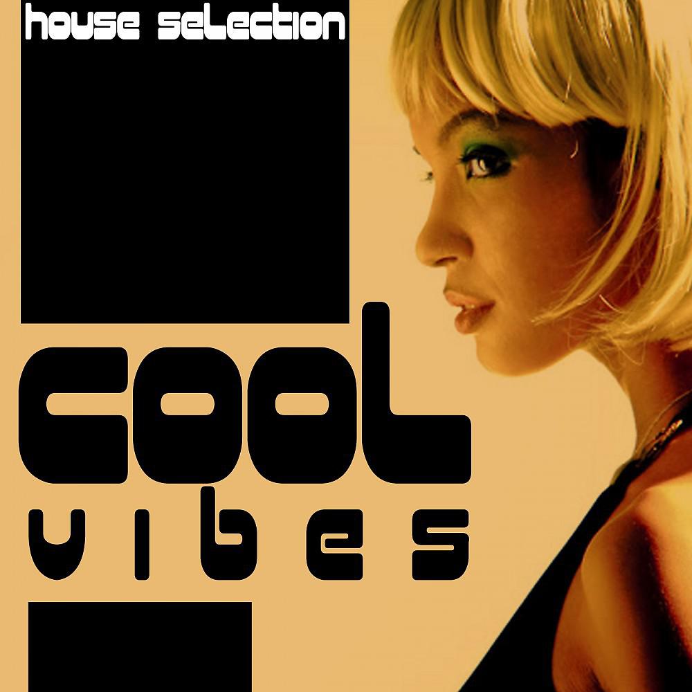 Постер альбома Cool Vibes (House Selection)