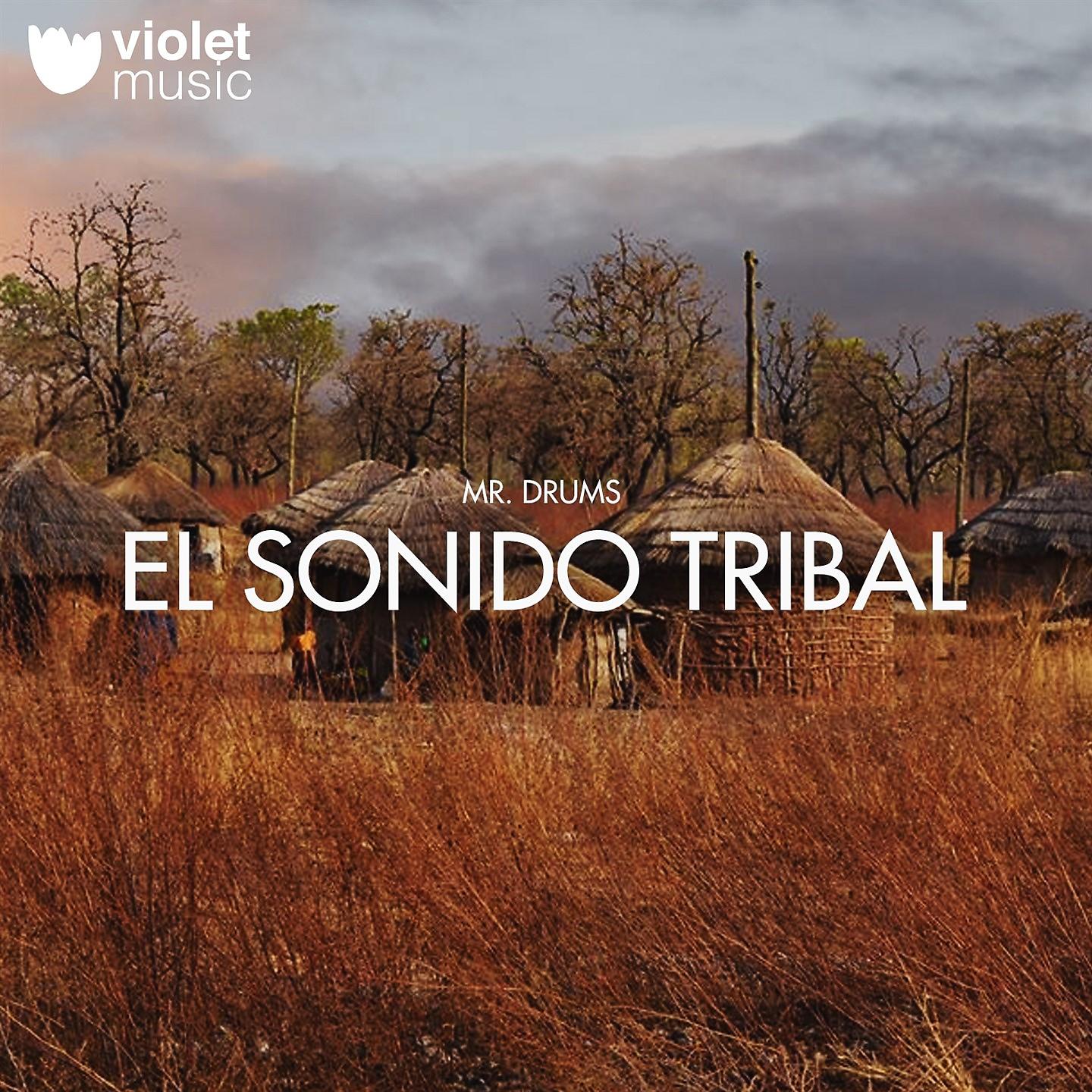 Постер альбома El Sonido Tribal
