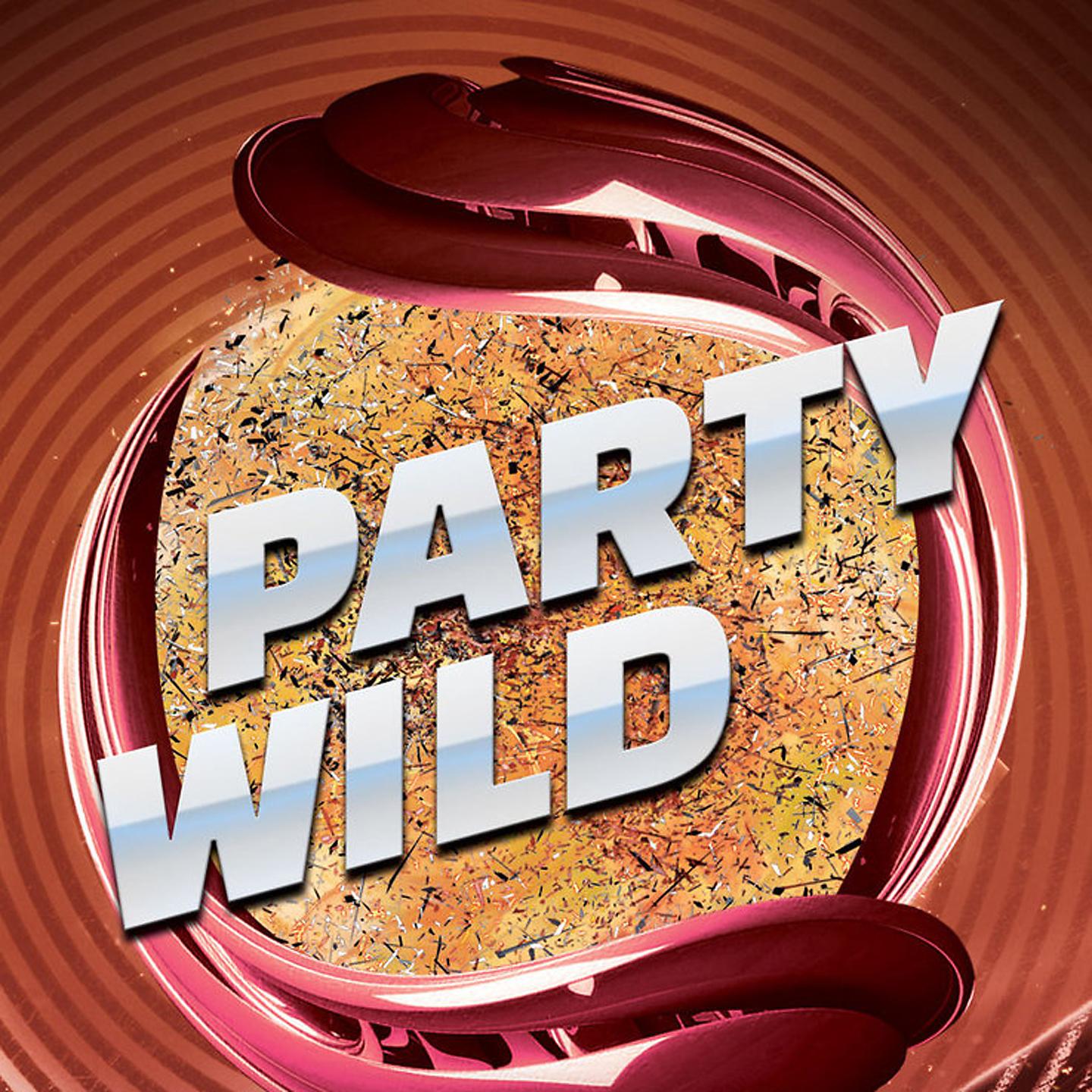 Постер альбома Party Wild
