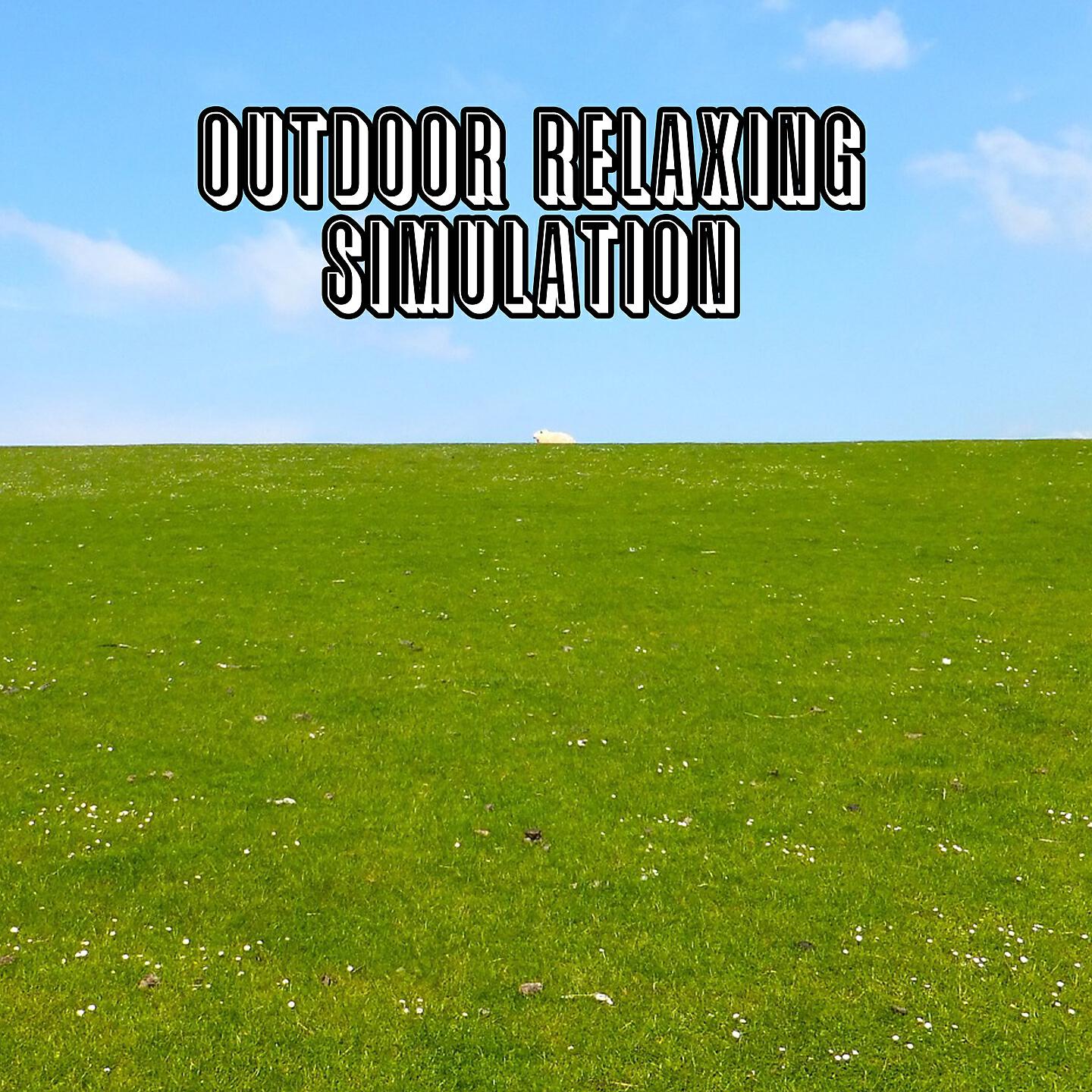 Relaxing Music Therapy - Zen Time