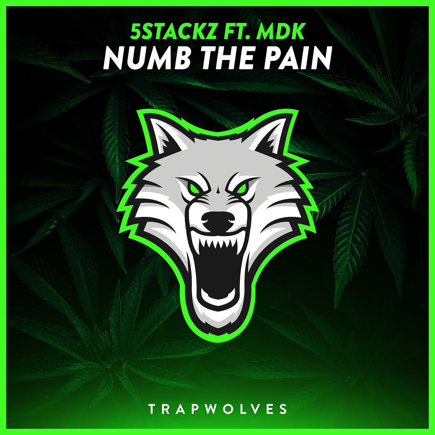 5stackz - Numb the Pain (feat. Mdk)