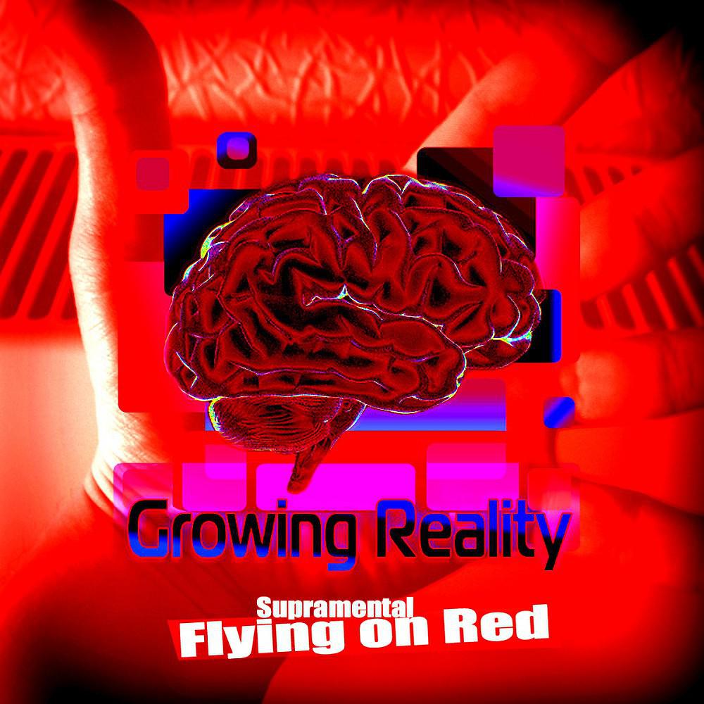 Постер альбома Flying On Reds