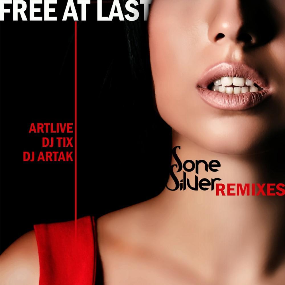 Постер альбома Free at Last Remixes