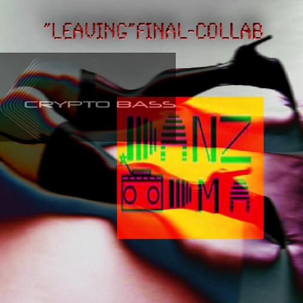 Danz DMA & Crypto Bass - Leaving (Original Mix)