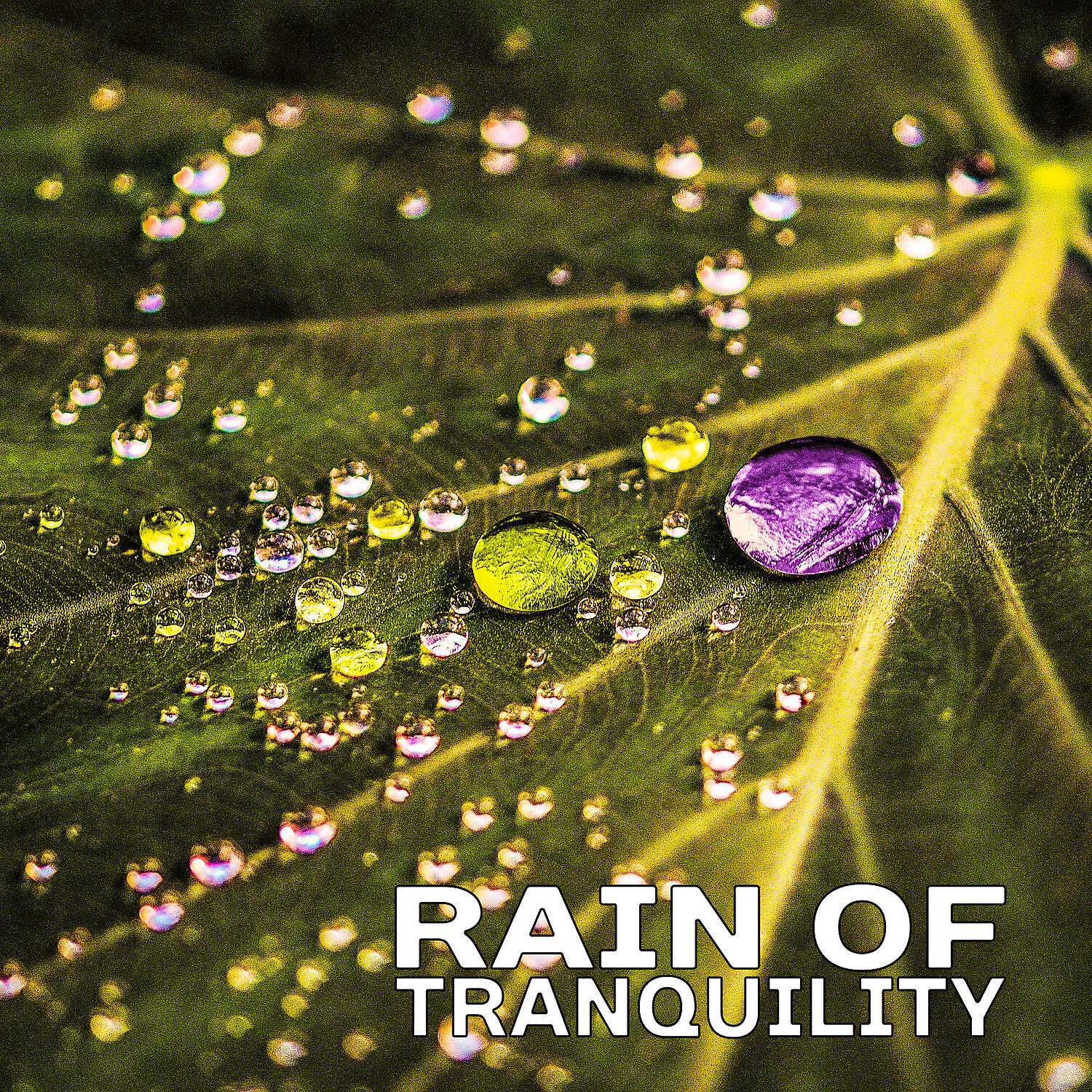 Healing Rain Sound Academy - Soothing Sounds of Piano in Rainy Day