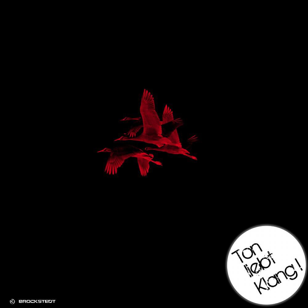 Patrick Arbez - Schuberts Tag (Ton Liebt Klang Edit)