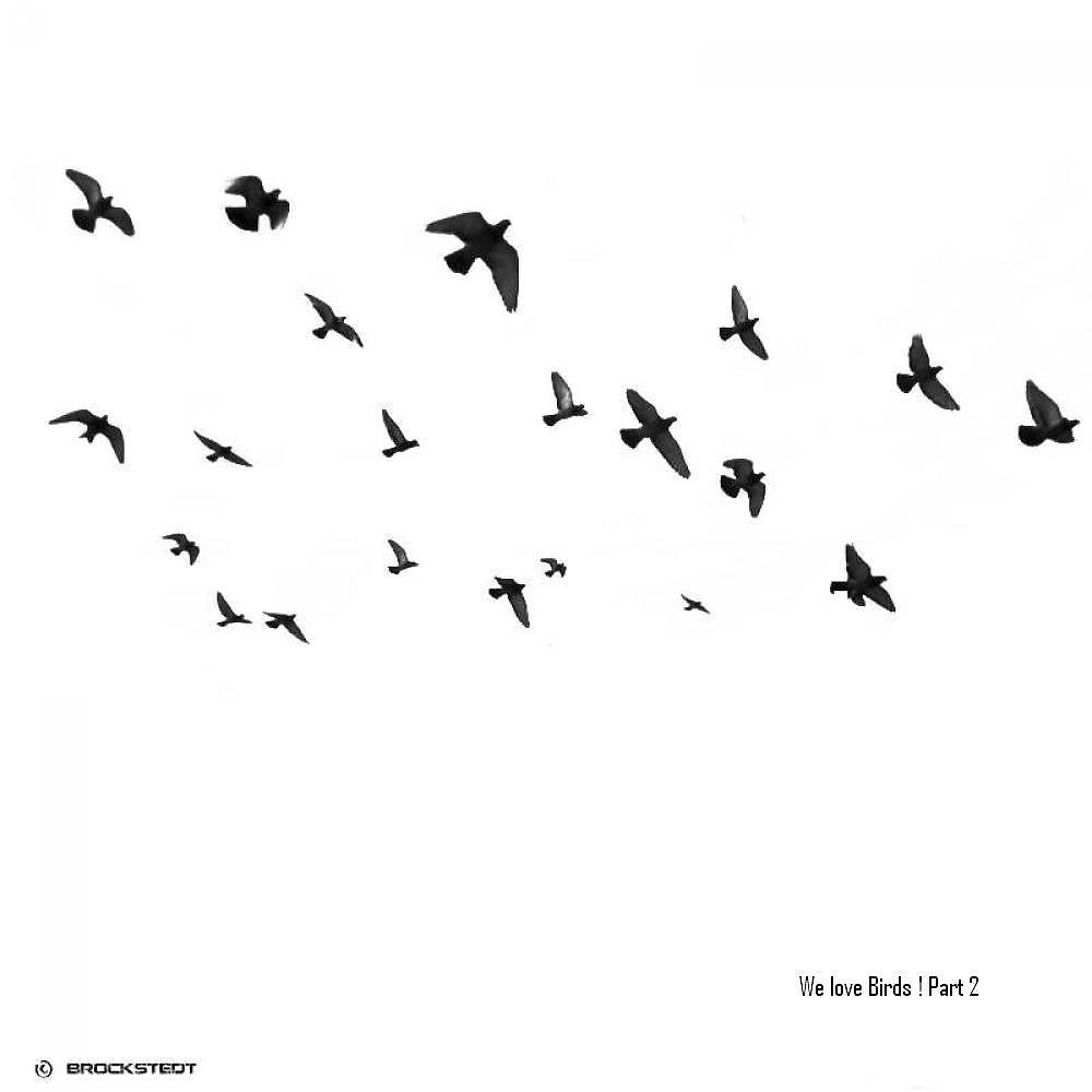 Постер альбома We Love Birds Part 2