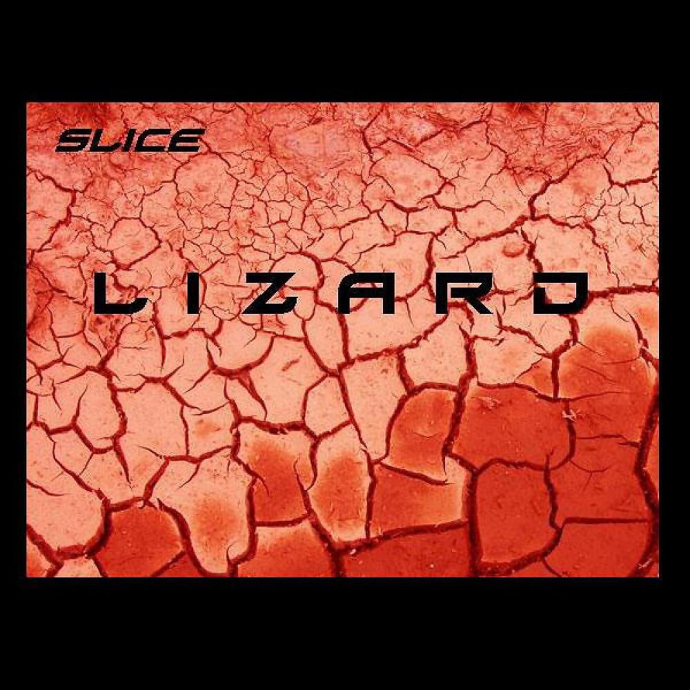 Slice - Lizard (Original)