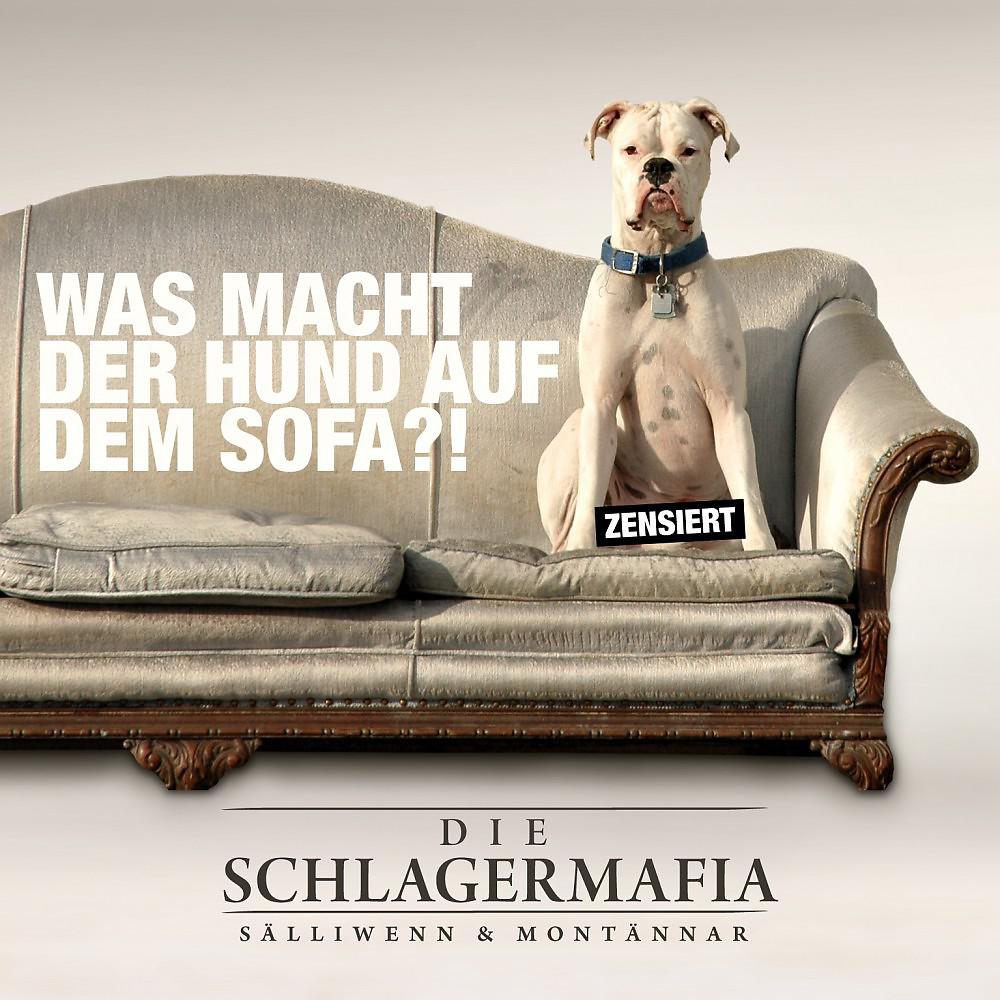 Постер альбома Was macht der Hund auf dem Sofa (New Version)