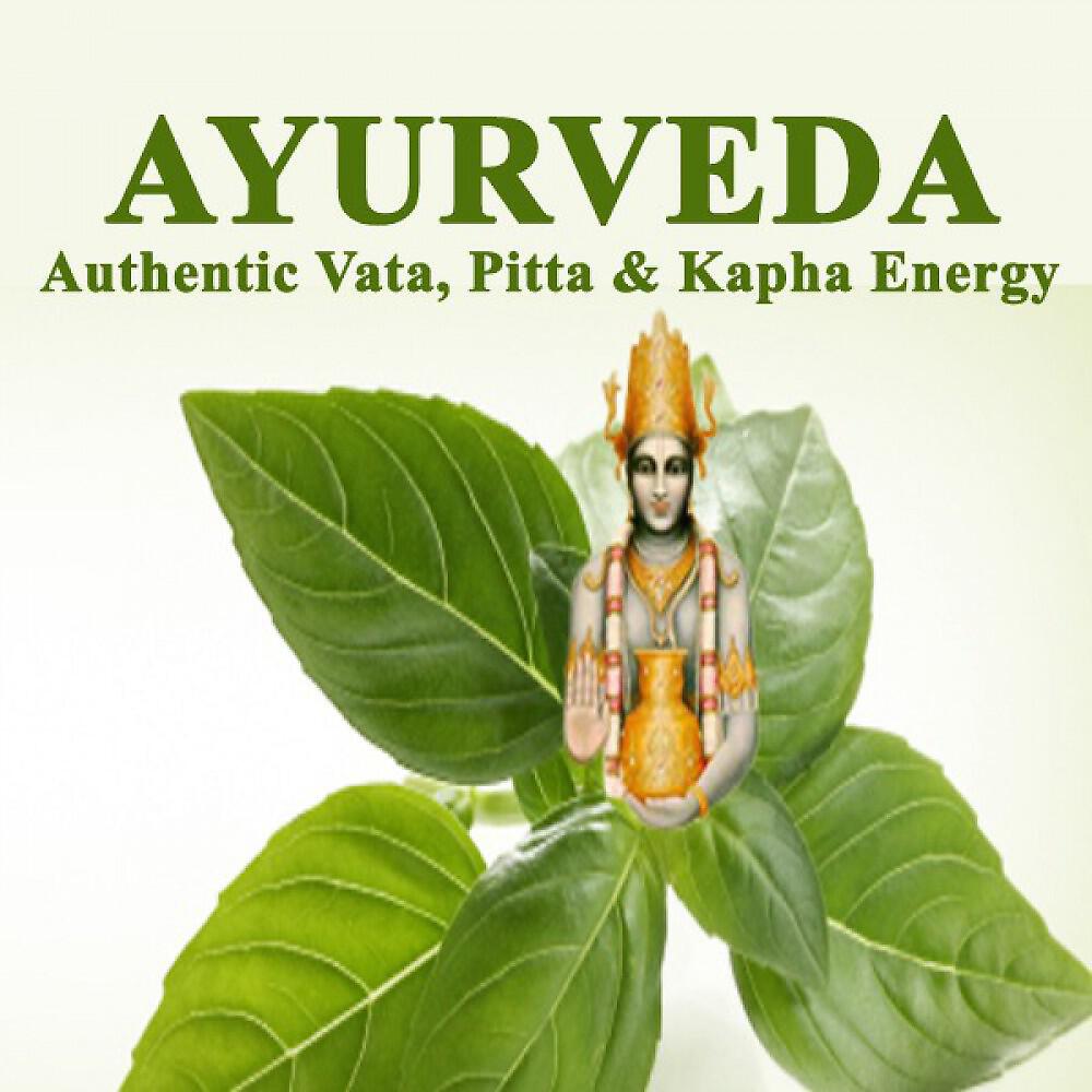 Yoga Tunes - Evolution Yoga: Awaking Consciousness