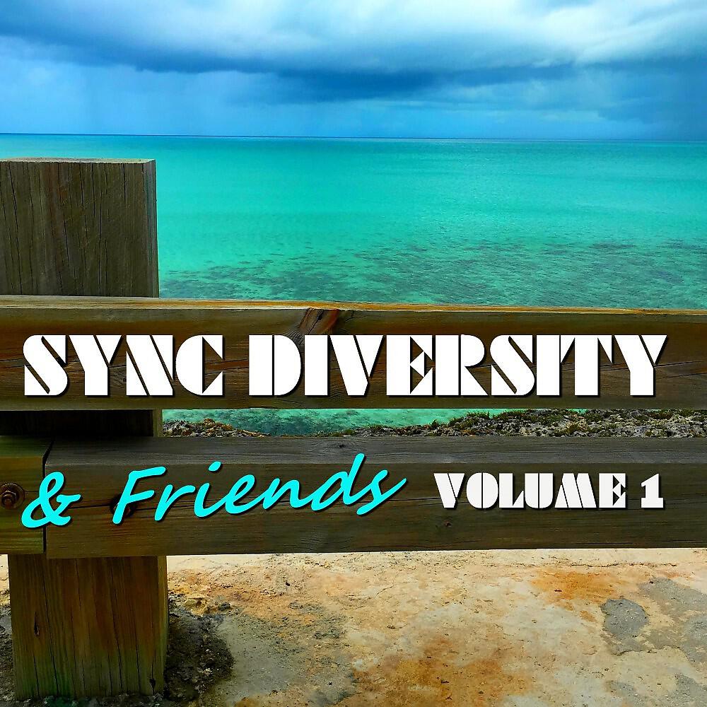 Sync Diversity - Different (Mr. Friso Remix)