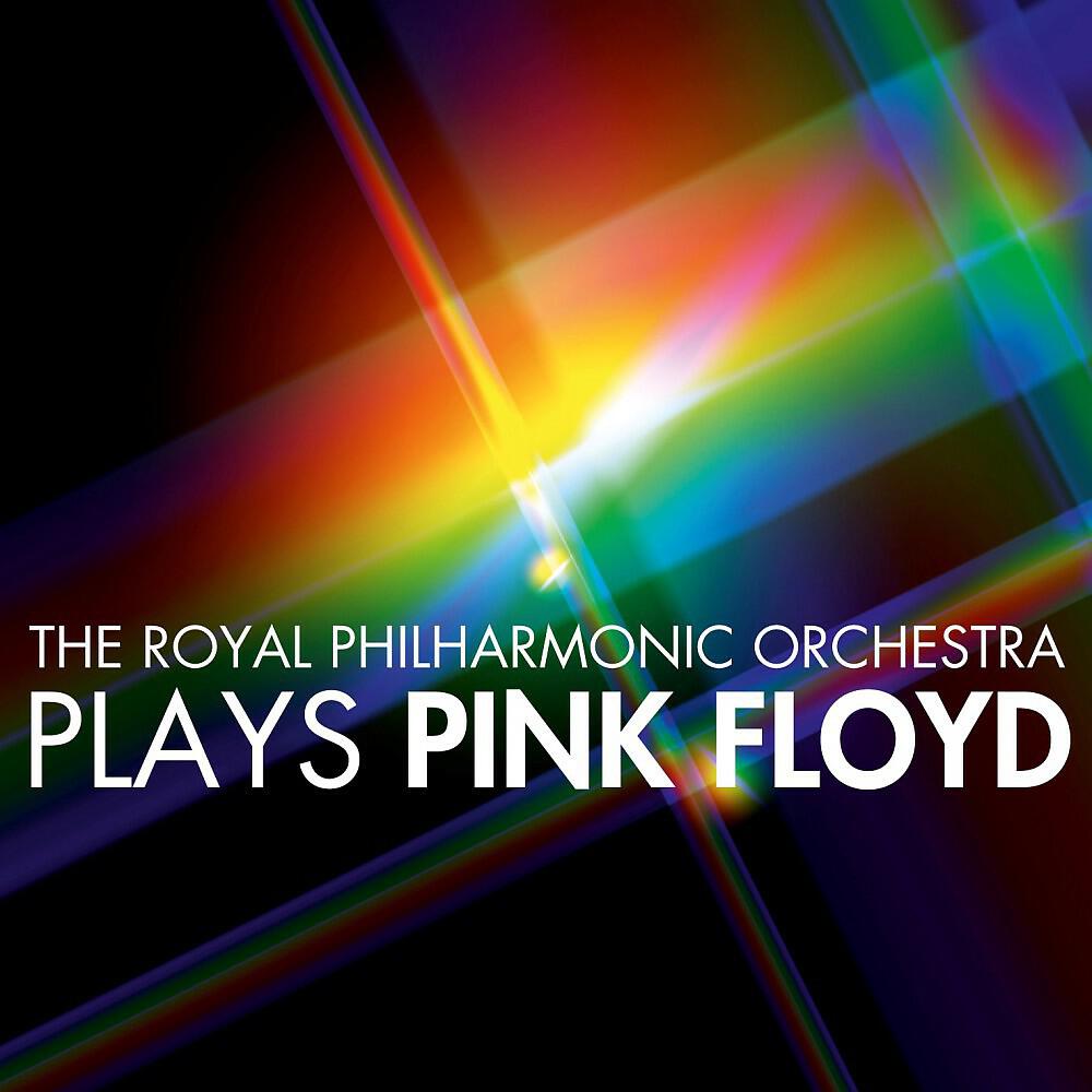 The Royal Philharmonic Orchestra - Hey You