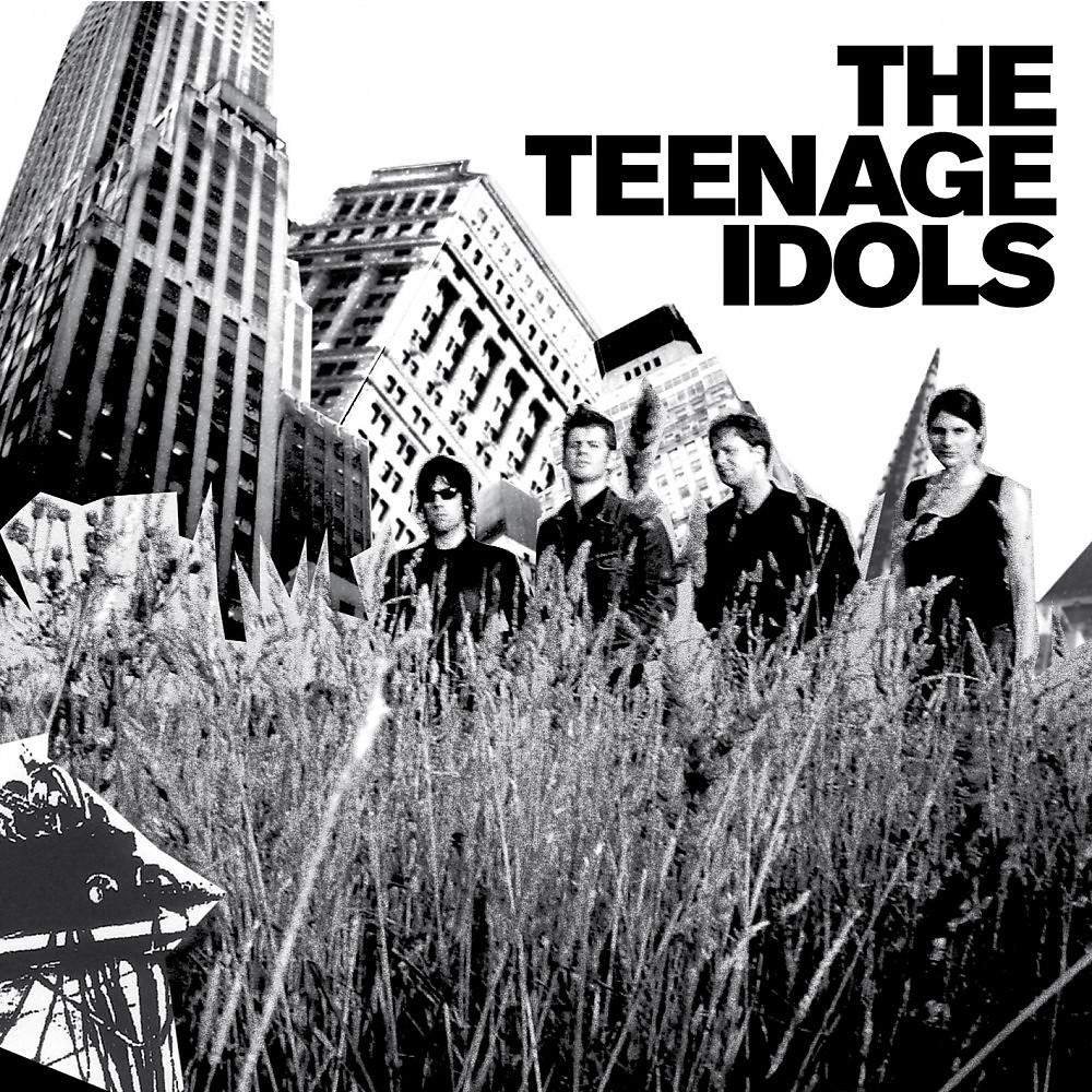 Постер альбома The Teenage Idols