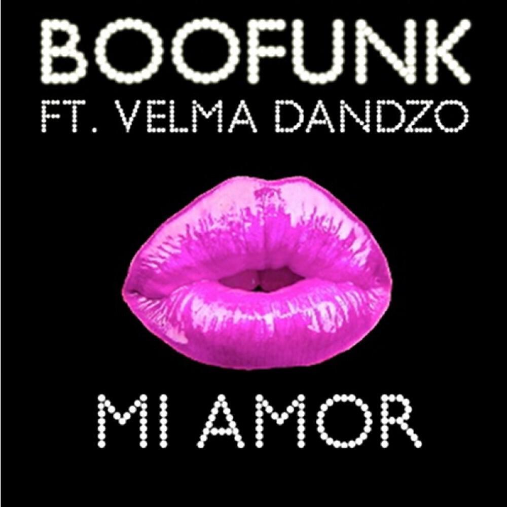 Boofunk - Mi Amor (Acapella)