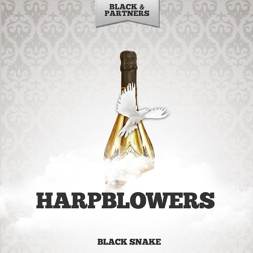 Harpblowers - Pan-American Blues (Original Mix)