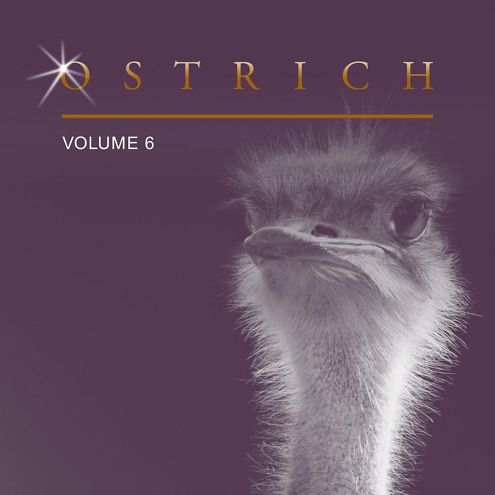 Постер альбома Ostrich, Vol. 6