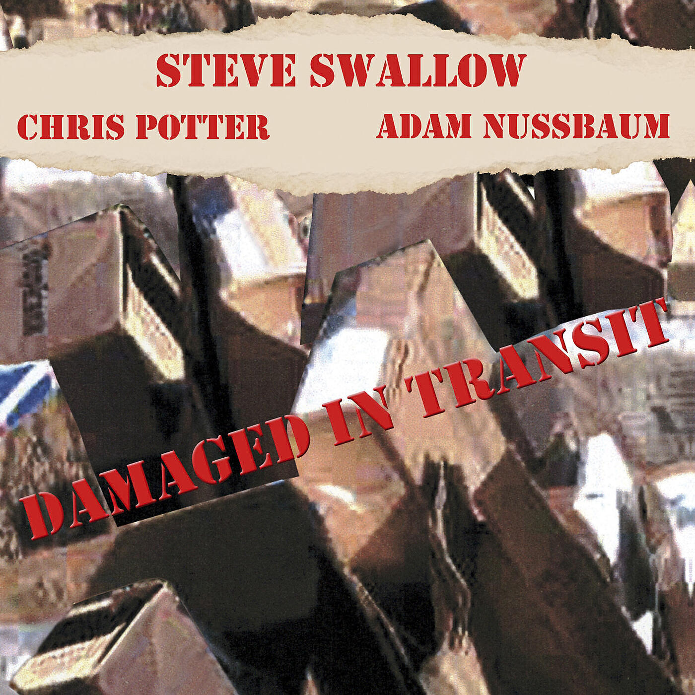 Steve Swallow - Item 4, D.I.T.