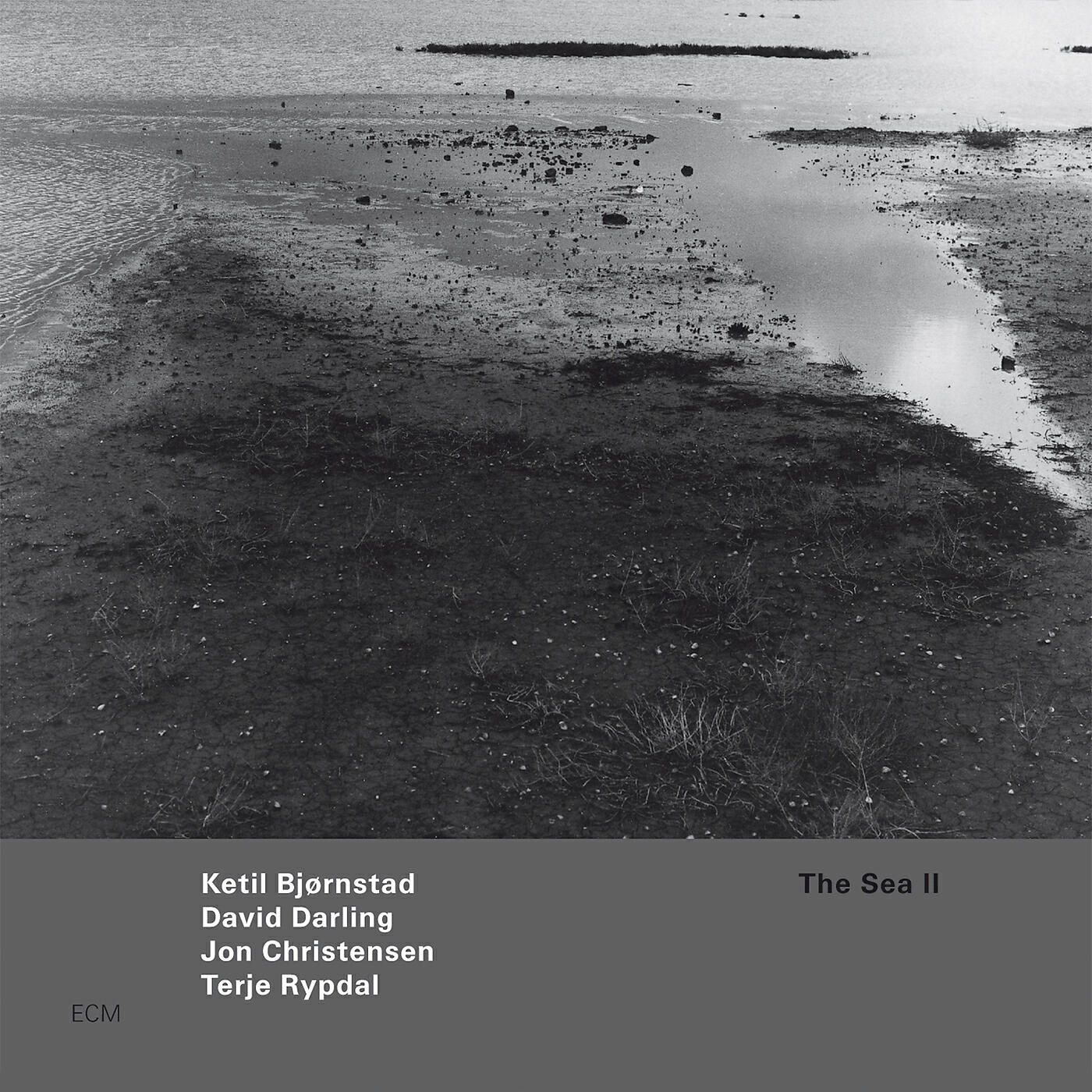 Ketil Bjørnstad - Laila