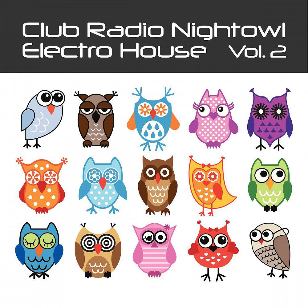 Постер альбома Club Radio Nightowl Electro House, Vol. 2